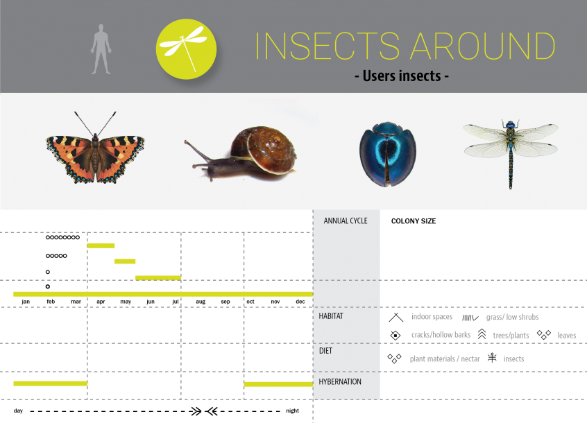 Products hyperbody 05 insects around.png
